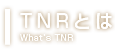 TNRとは